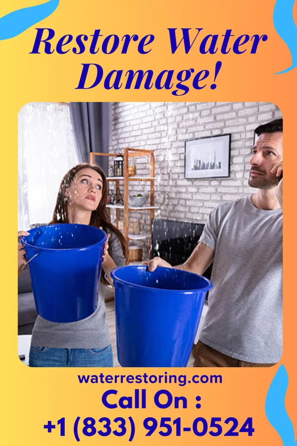 water restoration First Water Removal Services Holiday City-Berkeley