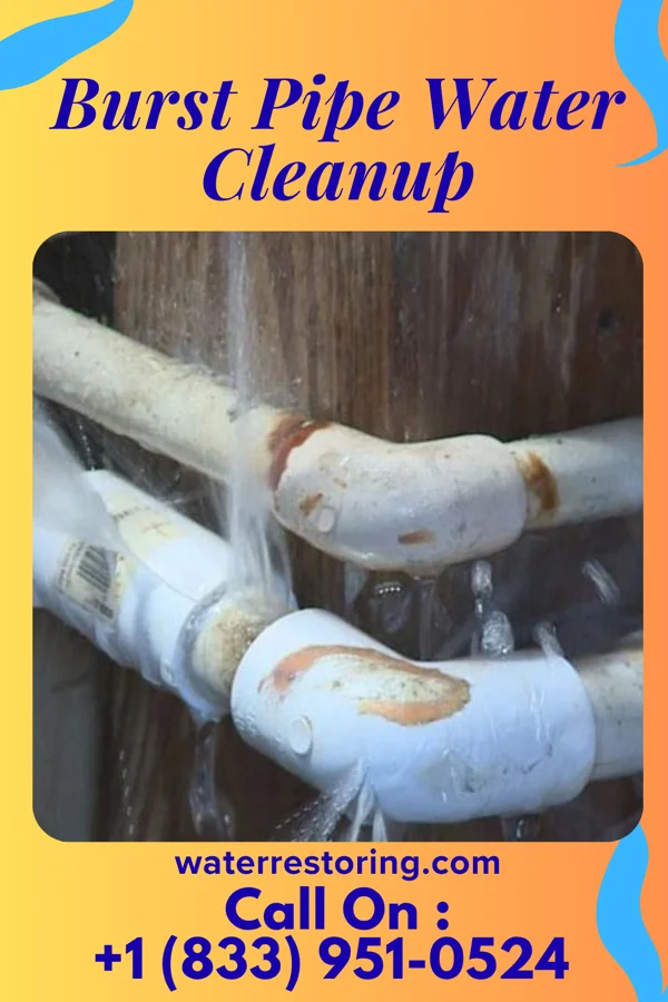 Burst Pipe Water Cleanup in Holiday City-Berkeley, NJ