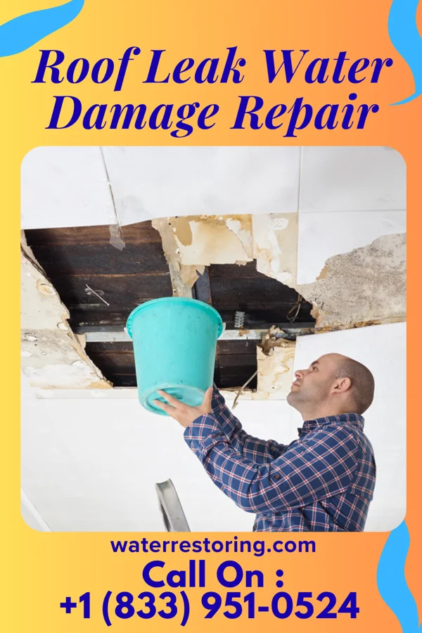 Roof Leak Water Damage Repair in Holiday City-Berkeley, NJ