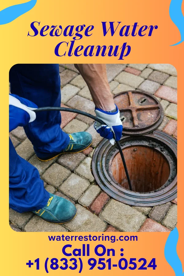 Sewage Water Cleanup in Holiday City-Berkeley, NJ